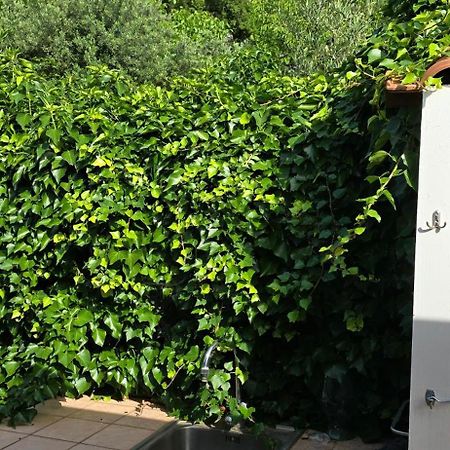 Villa Margherita Maratea Exterior photo